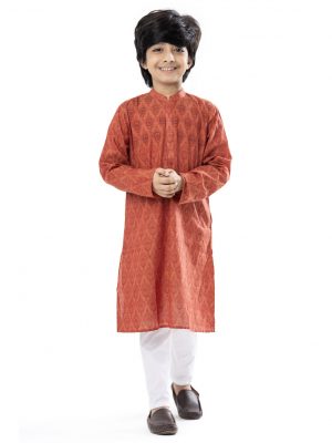 Brownish Red all-over printed Panjabi in Cotton fabric. Designed with a mandarin collar and hidden button placket. Embellished with embroidery on the chest.
